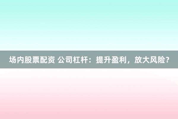 场内股票配资 公司杠杆：提升盈利，放大风险？