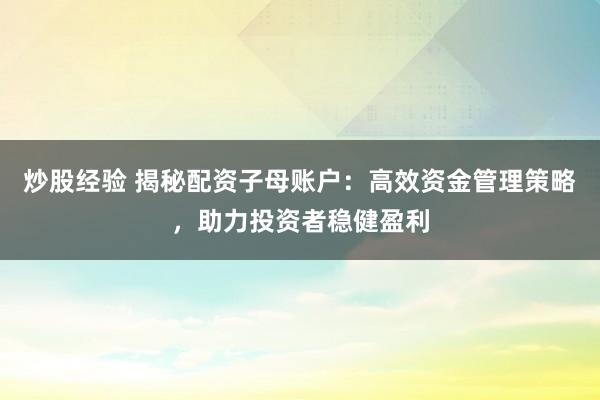 炒股经验 揭秘配资子母账户：高效资金管理策略，助力投资者稳健盈利