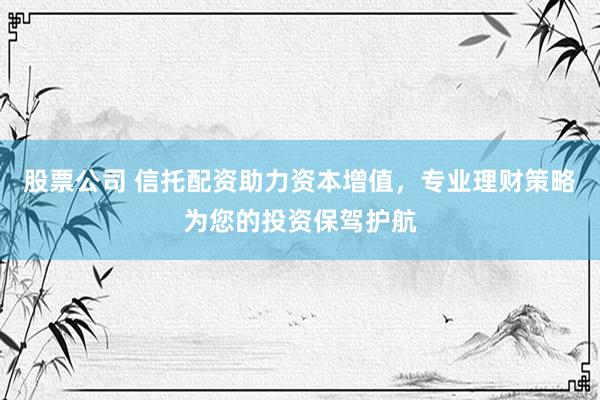 股票公司 信托配资助力资本增值，专业理财策略为您的投资保驾护航