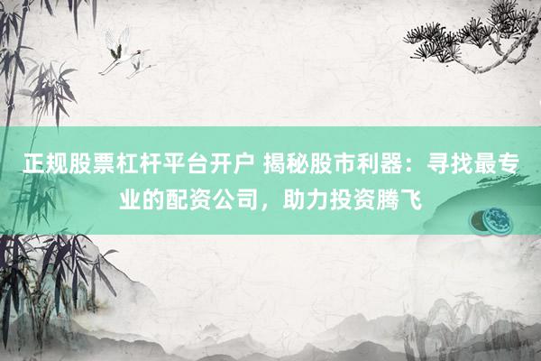 正规股票杠杆平台开户 揭秘股市利器：寻找最专业的配资公司，助力投资腾飞