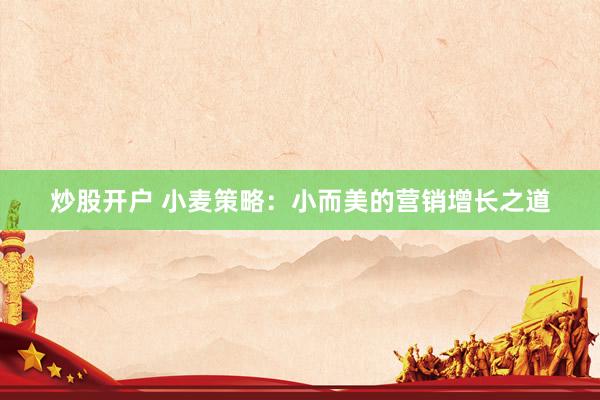 炒股开户 小麦策略：小而美的营销增长之道