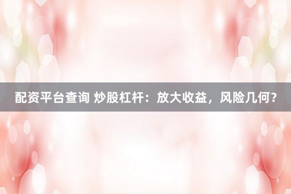 配资平台查询 炒股杠杆：放大收益，风险几何？