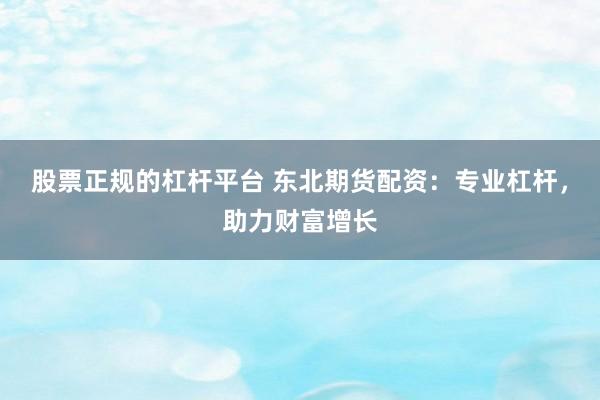 股票正规的杠杆平台 东北期货配资：专业杠杆，助力财富增长