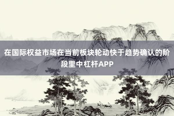 在国际权益市场在当前板块轮动快于趋势确认的阶段里中杠杆APP
