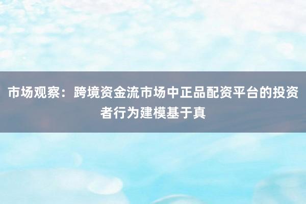 市场观察：跨境资金流市场中正品配资平台的投资者行为建模基于真