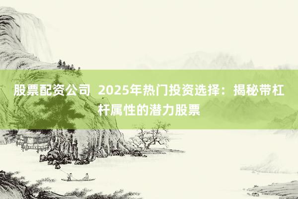 股票配资公司  2025年热门投资选择：揭秘带杠杆属性的潜力股票