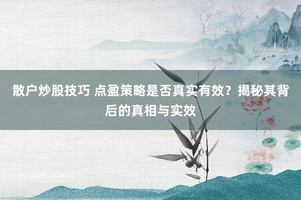 散户炒股技巧 点盈策略是否真实有效？揭秘其背后的真相与实效