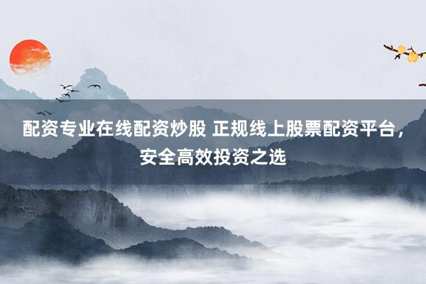 配资专业在线配资炒股 正规线上股票配资平台,安全高效投资之选